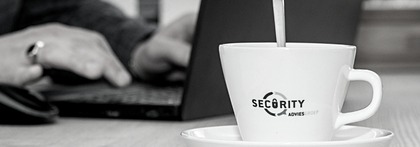 Security Consultant
